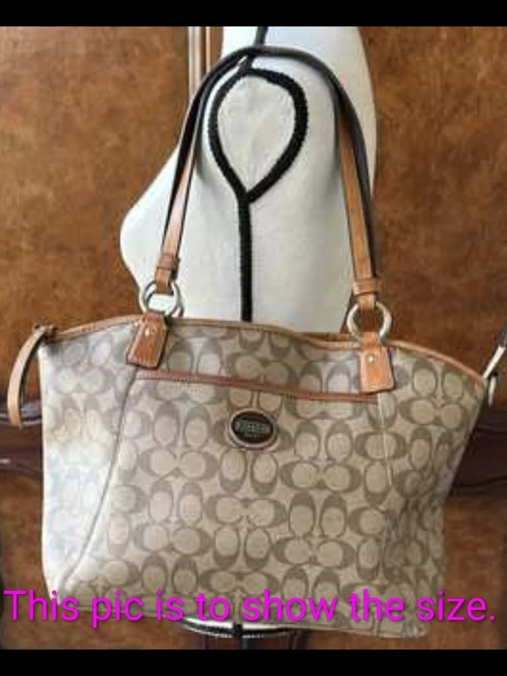 Coach Signature Canvas Tote in Tan and Brown